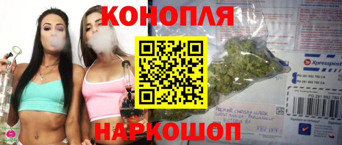 Бошки Шишки планчик Нальчик